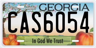 GA license plate CAS6054