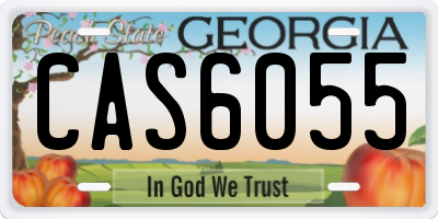 GA license plate CAS6055