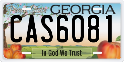 GA license plate CAS6081
