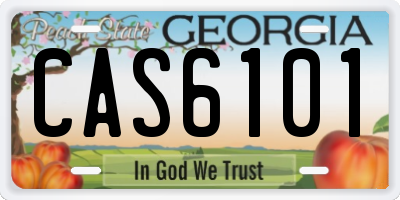 GA license plate CAS6101