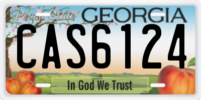 GA license plate CAS6124