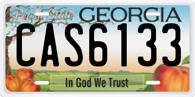 GA license plate CAS6133