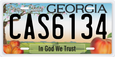 GA license plate CAS6134