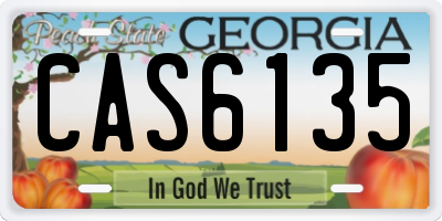 GA license plate CAS6135