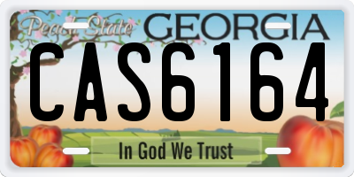GA license plate CAS6164