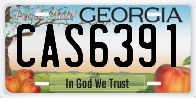 GA license plate CAS6391