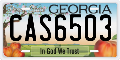 GA license plate CAS6503