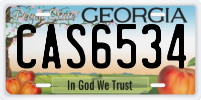 GA license plate CAS6534