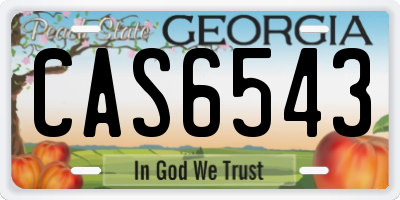 GA license plate CAS6543