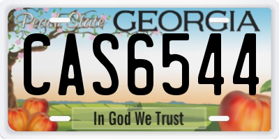 GA license plate CAS6544