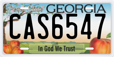 GA license plate CAS6547