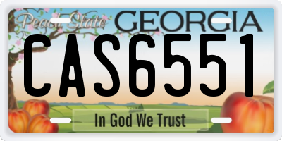 GA license plate CAS6551