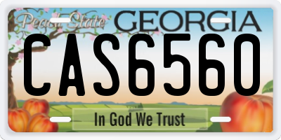 GA license plate CAS6560