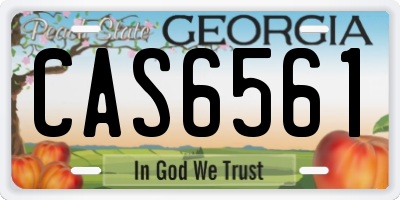 GA license plate CAS6561