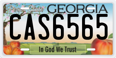 GA license plate CAS6565