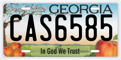 GA license plate CAS6585