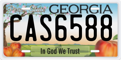 GA license plate CAS6588