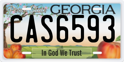 GA license plate CAS6593