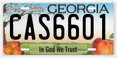 GA license plate CAS6601