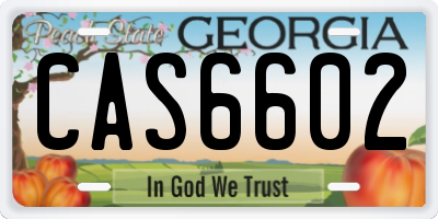 GA license plate CAS6602
