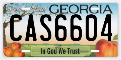 GA license plate CAS6604
