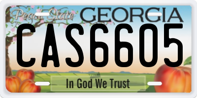 GA license plate CAS6605