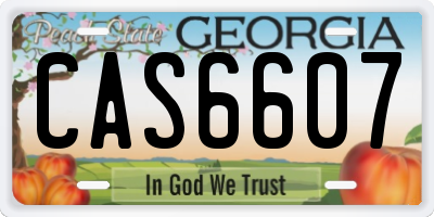 GA license plate CAS6607