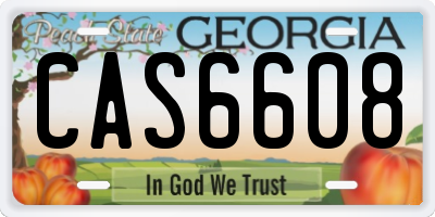 GA license plate CAS6608