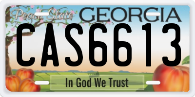 GA license plate CAS6613