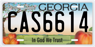 GA license plate CAS6614