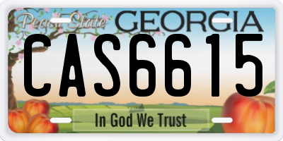 GA license plate CAS6615