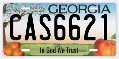 GA license plate CAS6621
