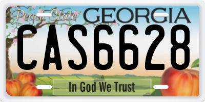 GA license plate CAS6628
