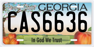 GA license plate CAS6636