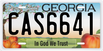 GA license plate CAS6641
