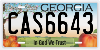 GA license plate CAS6643