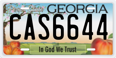 GA license plate CAS6644