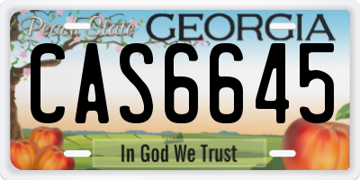 GA license plate CAS6645