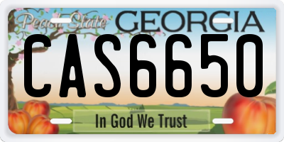 GA license plate CAS6650