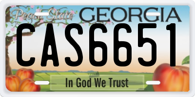 GA license plate CAS6651