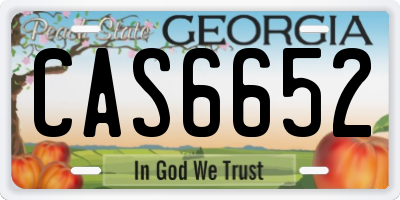 GA license plate CAS6652