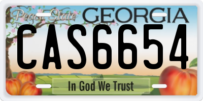 GA license plate CAS6654
