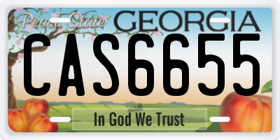 GA license plate CAS6655