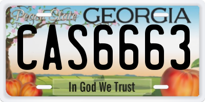 GA license plate CAS6663