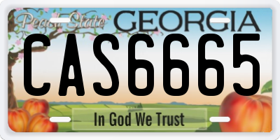 GA license plate CAS6665