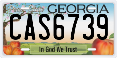 GA license plate CAS6739