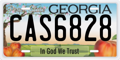 GA license plate CAS6828