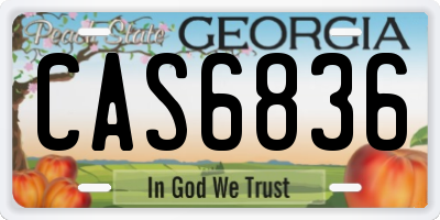 GA license plate CAS6836