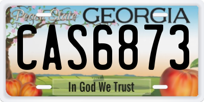 GA license plate CAS6873