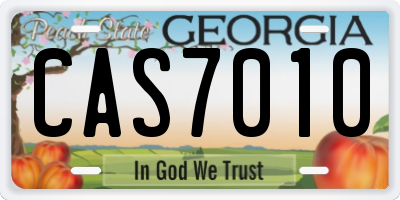 GA license plate CAS7010